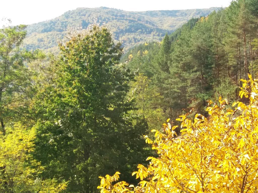 Casa Irina Villa Piatra Neamţ Buitenkant foto
