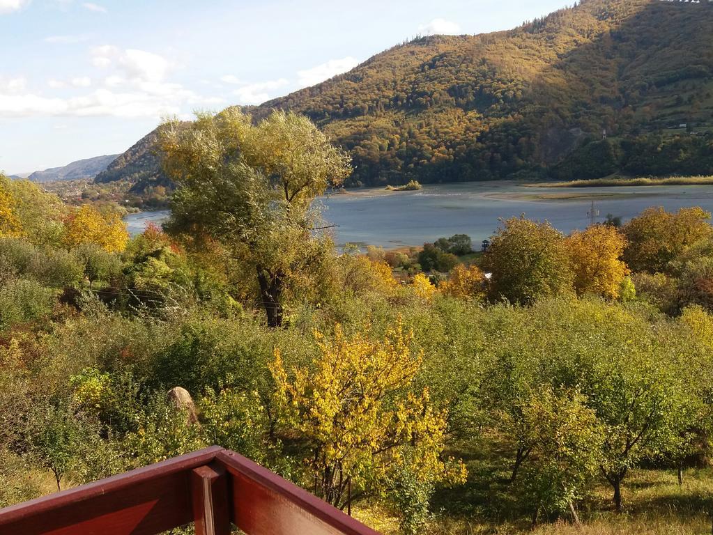 Casa Irina Villa Piatra Neamţ Buitenkant foto