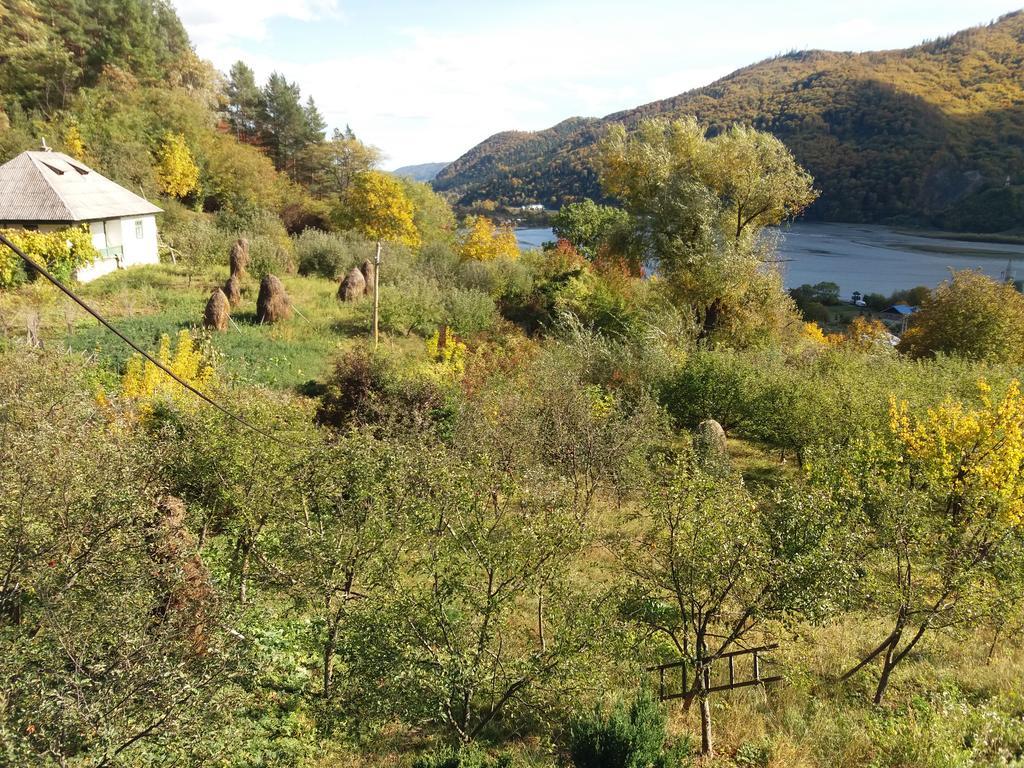 Casa Irina Villa Piatra Neamţ Buitenkant foto