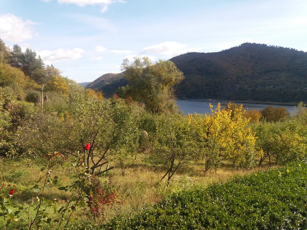 Casa Irina Villa Piatra Neamţ Buitenkant foto