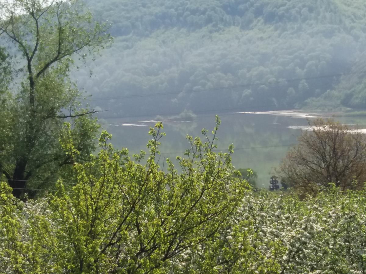 Casa Irina Villa Piatra Neamţ Buitenkant foto