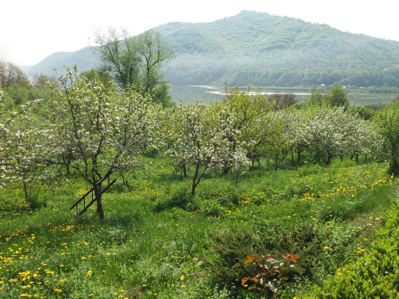 Casa Irina Villa Piatra Neamţ Buitenkant foto